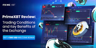 PrimeXBT Broker Revolutionizing Online Trading