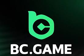 Exploring BC Game Mirror Your Gateway to Crypto Gaming