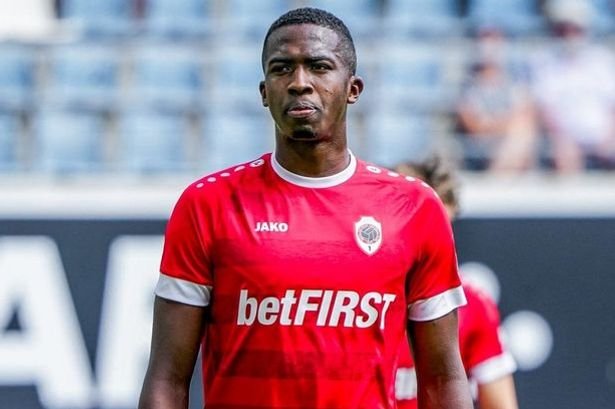 Discover mr pacho app